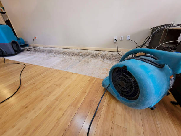 Professional Basement Flood Cleanup technician working in Donora, PA